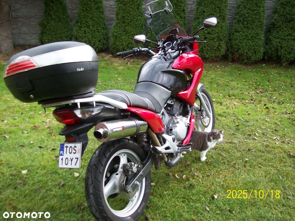 Honda Varadero - 9