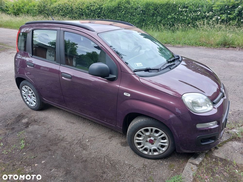 Fiat Panda - 1