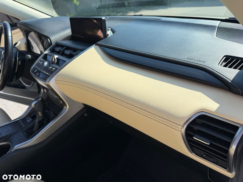 Lexus NX 300 Business Edition AWD - 24