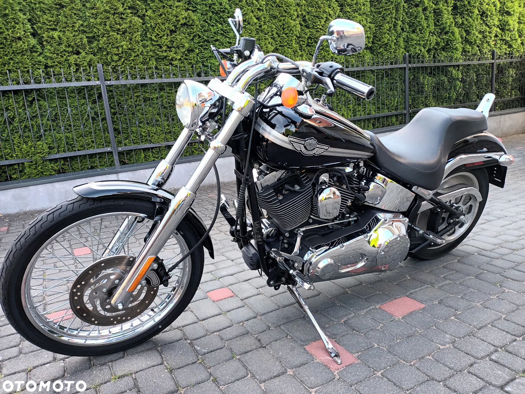 Harley-Davidson Softail - 12