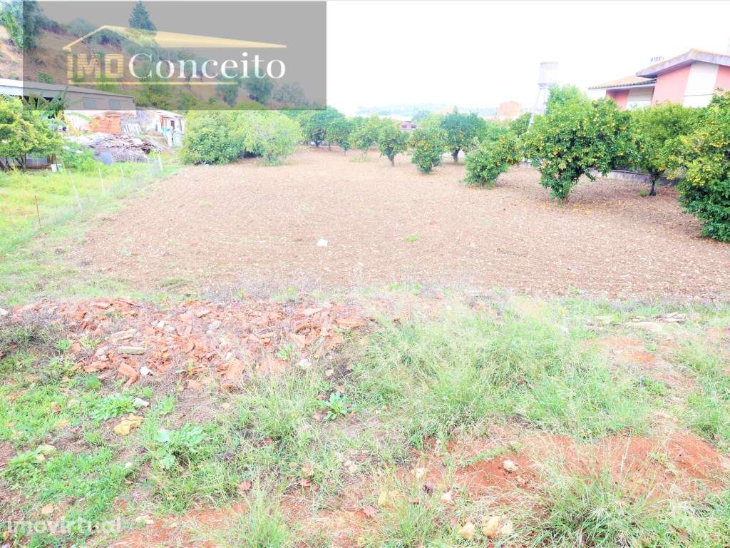 TERRENO URBANO - A 2 MINUTOS DO CENTRO DE TORRES NOVAS - GRANDE OPO... - Grande imagem: 4/13