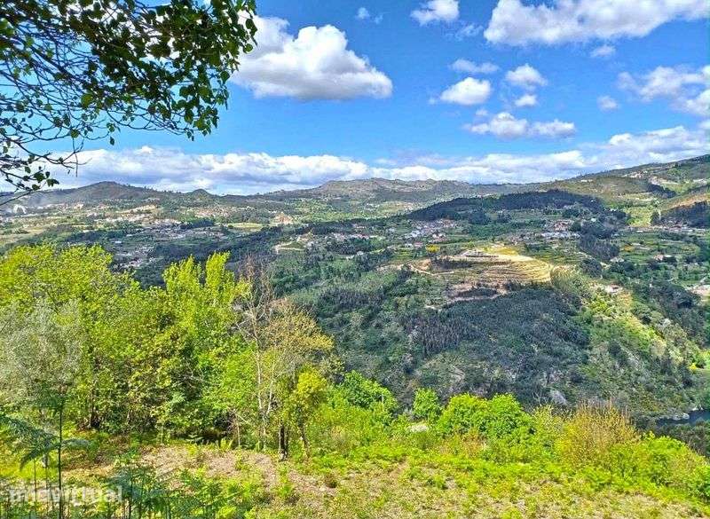 Quinta no Douro para Turismo Rural - Grande imagem: 2/12