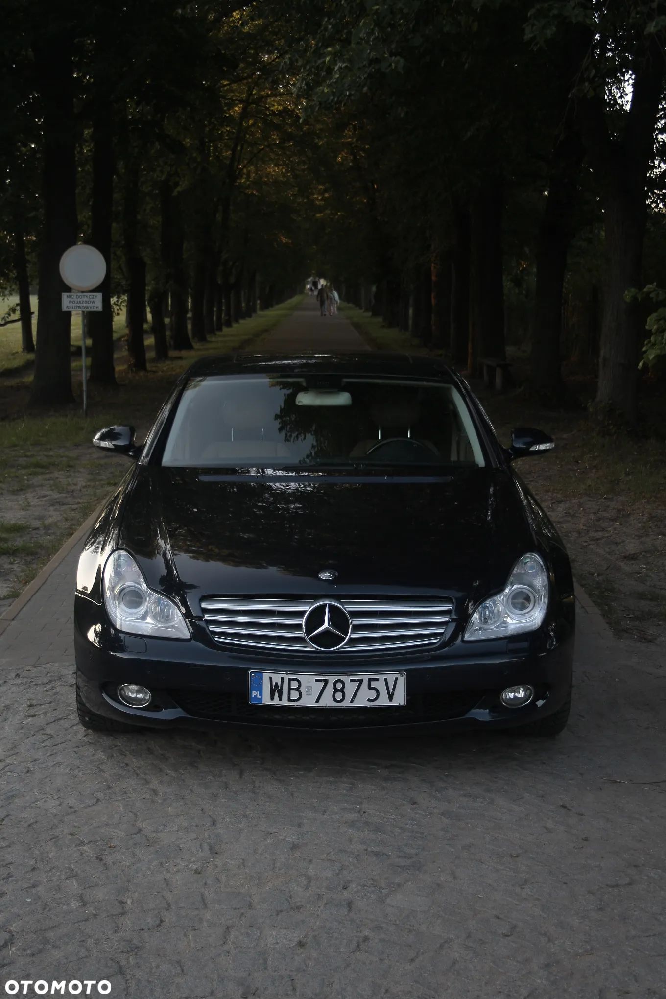 Mercedes-Benz CLS 500 - 1
