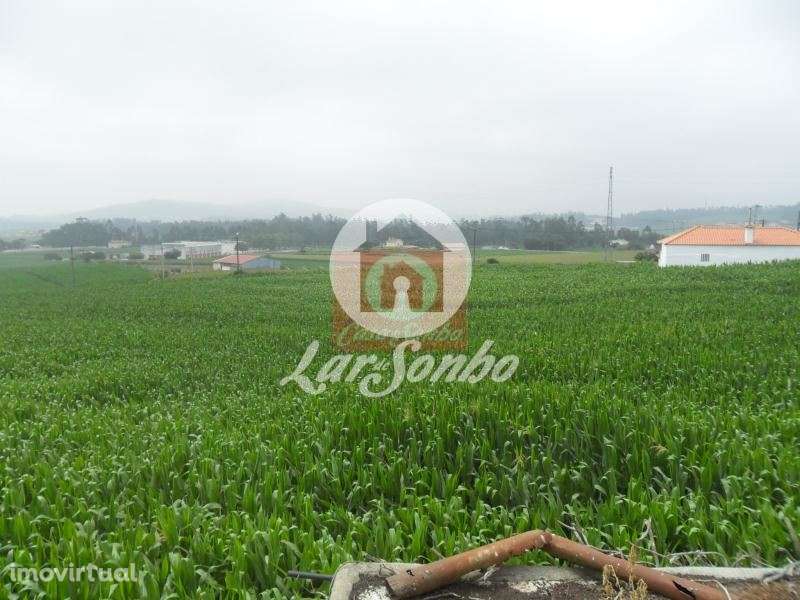 Moradia individual, para venda, Póvoa de Varzim - Rates - Grande imagem: 4/12