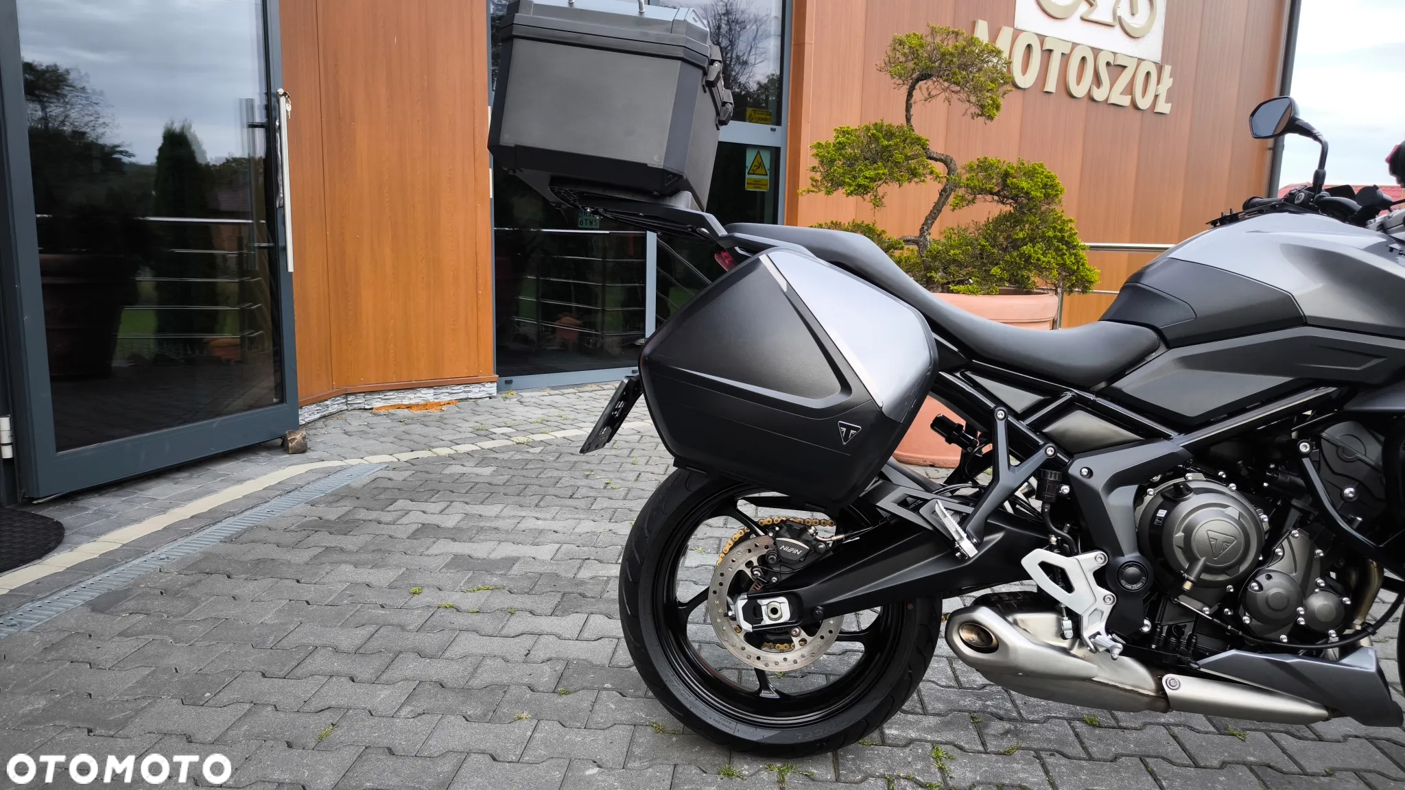 Triumph Tiger - 15