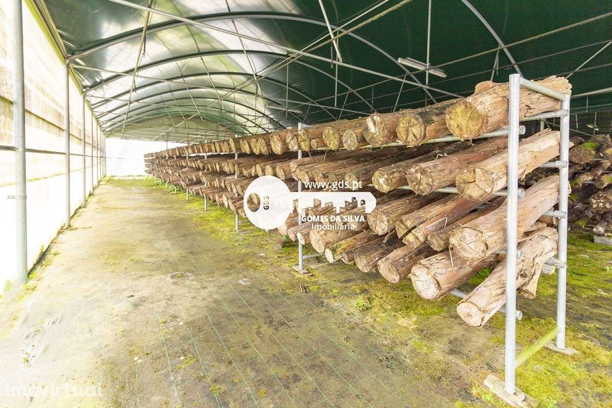 Terreno de 4110m2 c/ duas estufas de 1200m2 em Fafe - Grande imagem: 4/12