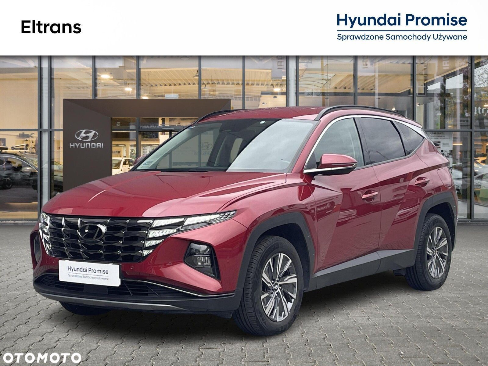 Hyundai Tucson 1.6 T-GDi HEV Executive 2WD - 1