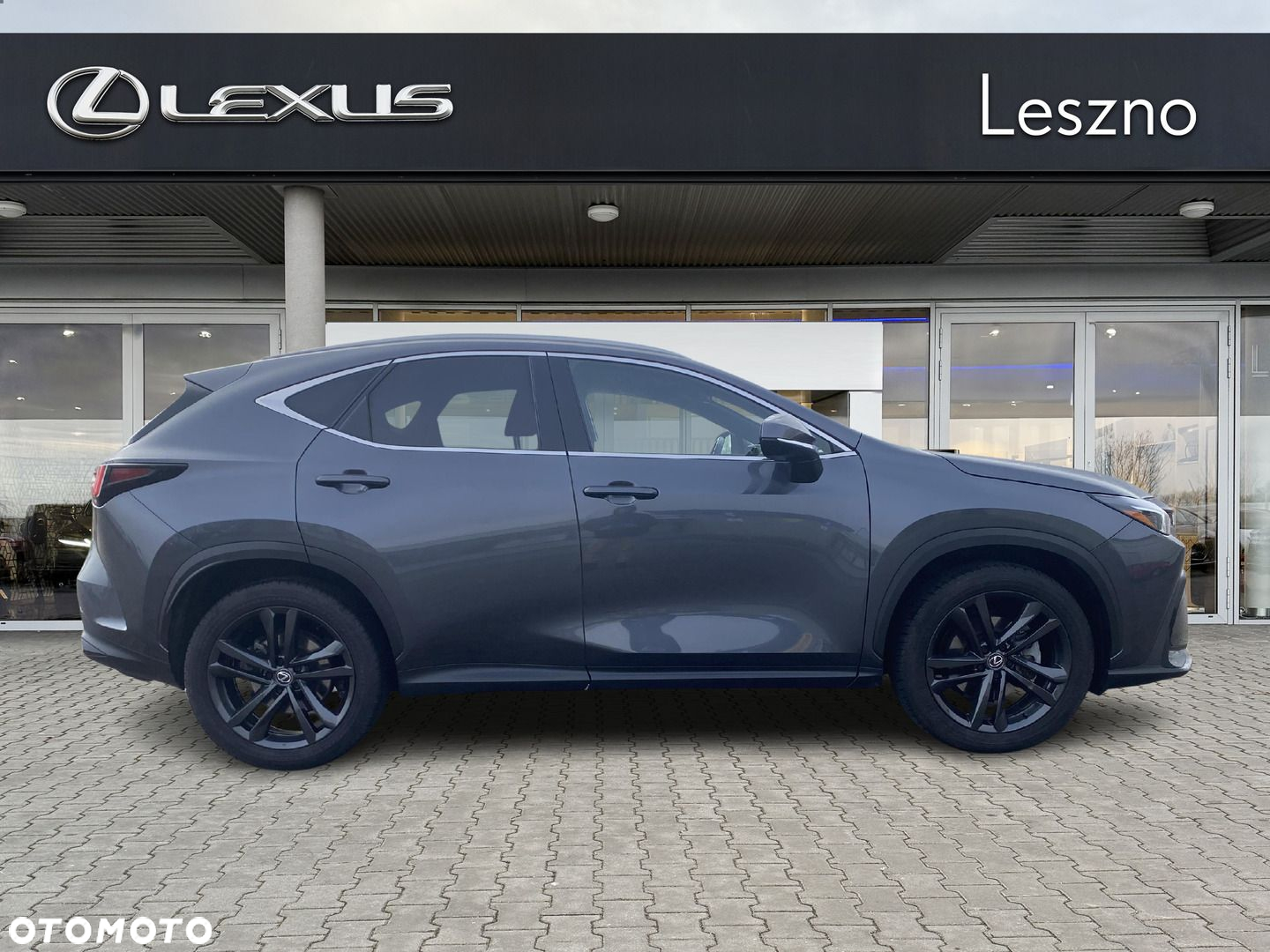 Lexus NX - 10