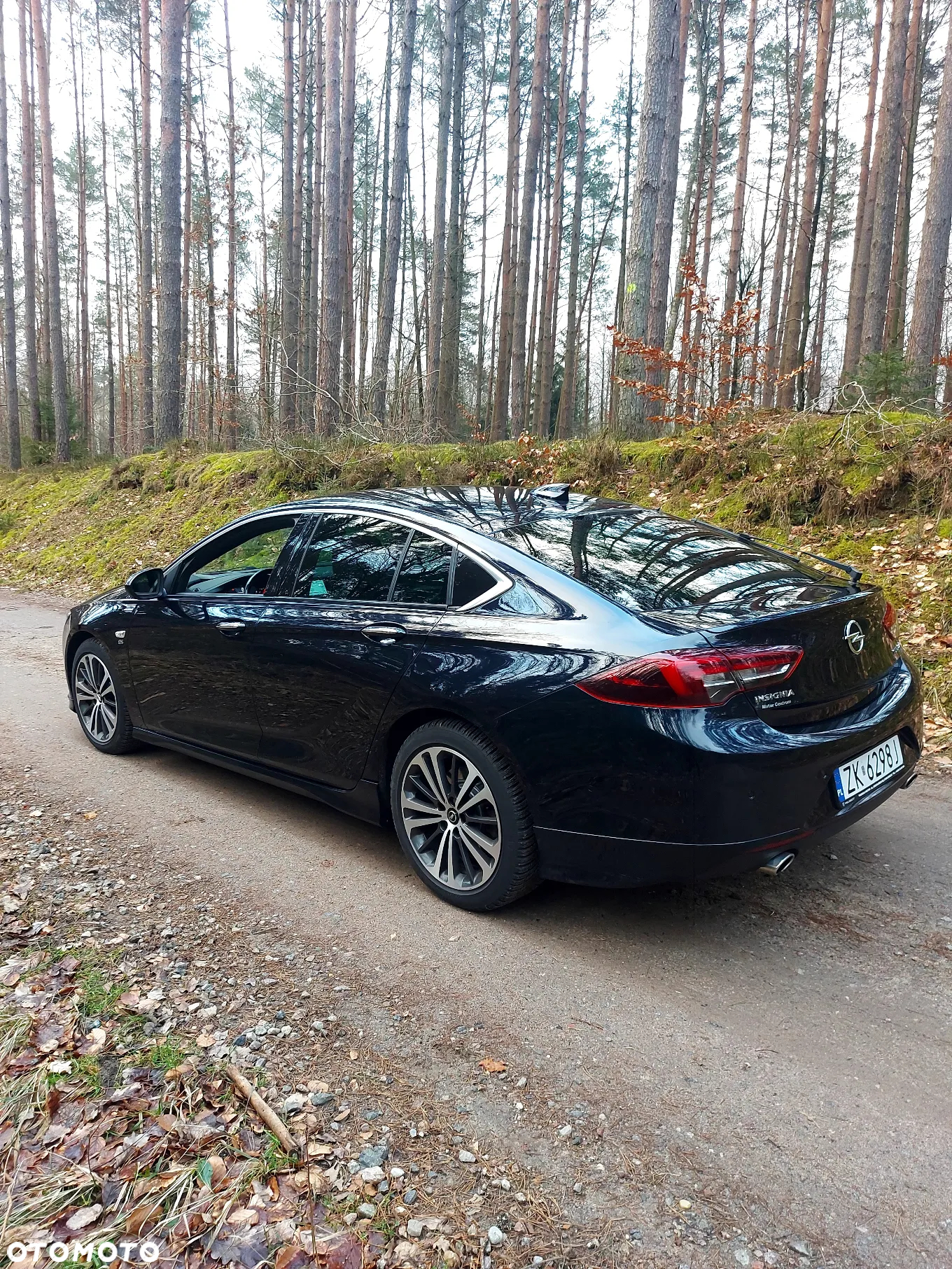 Opel Insignia 2.0 T 4x4 Exclusive S&S - 7