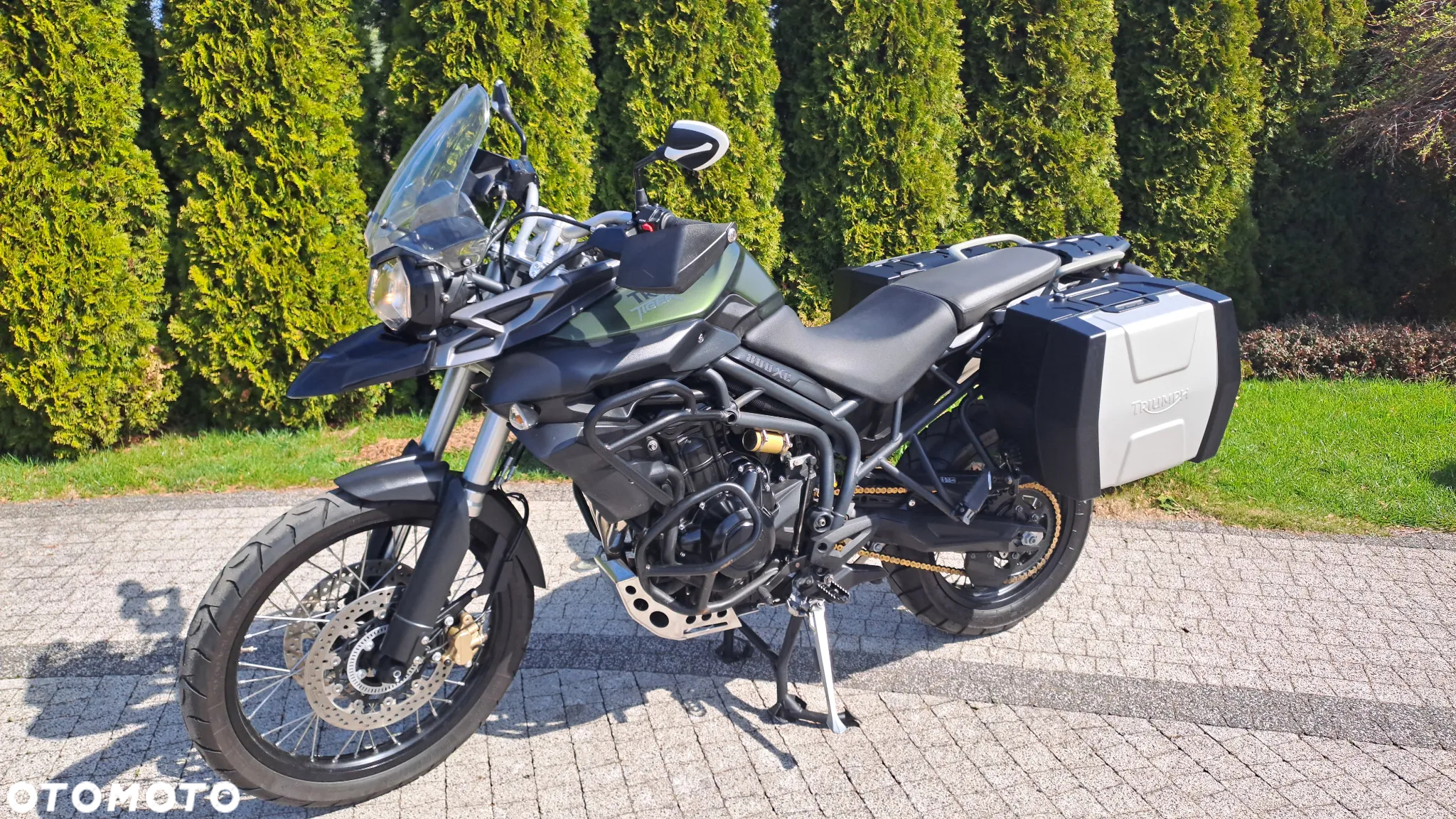 Triumph Tiger - 33