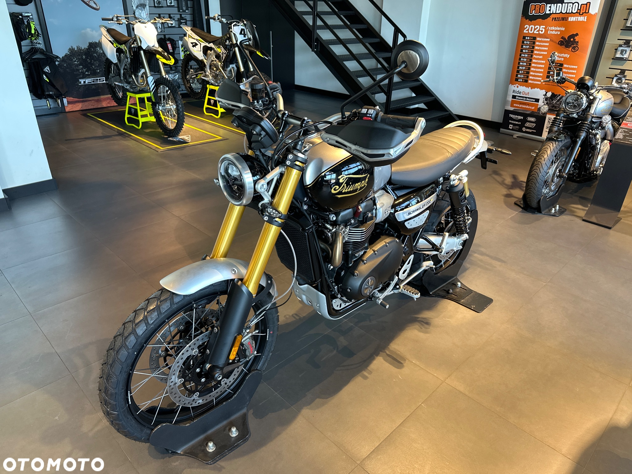 Triumph Scrambler - 3