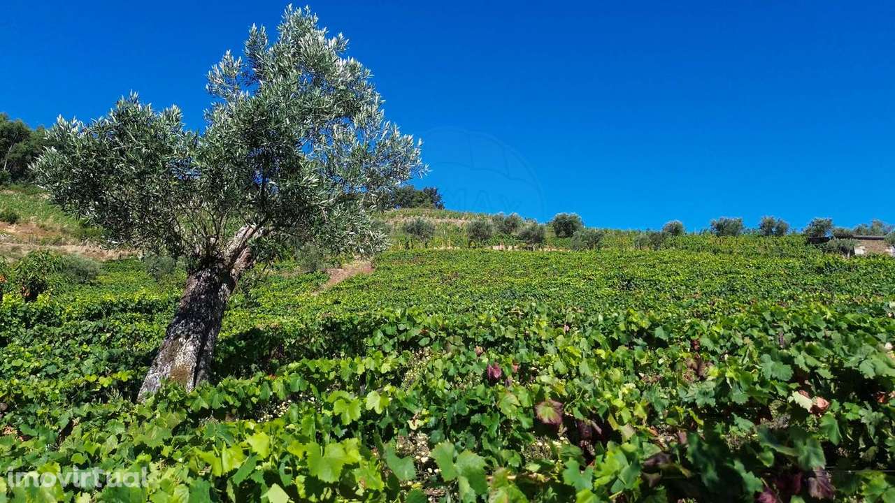 Quinta  para venda - Grande imagem: 5/18