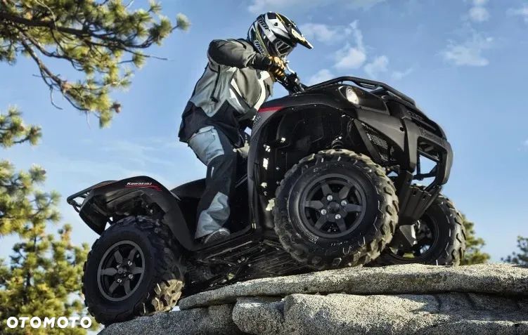 Kawasaki Brute Force - 3