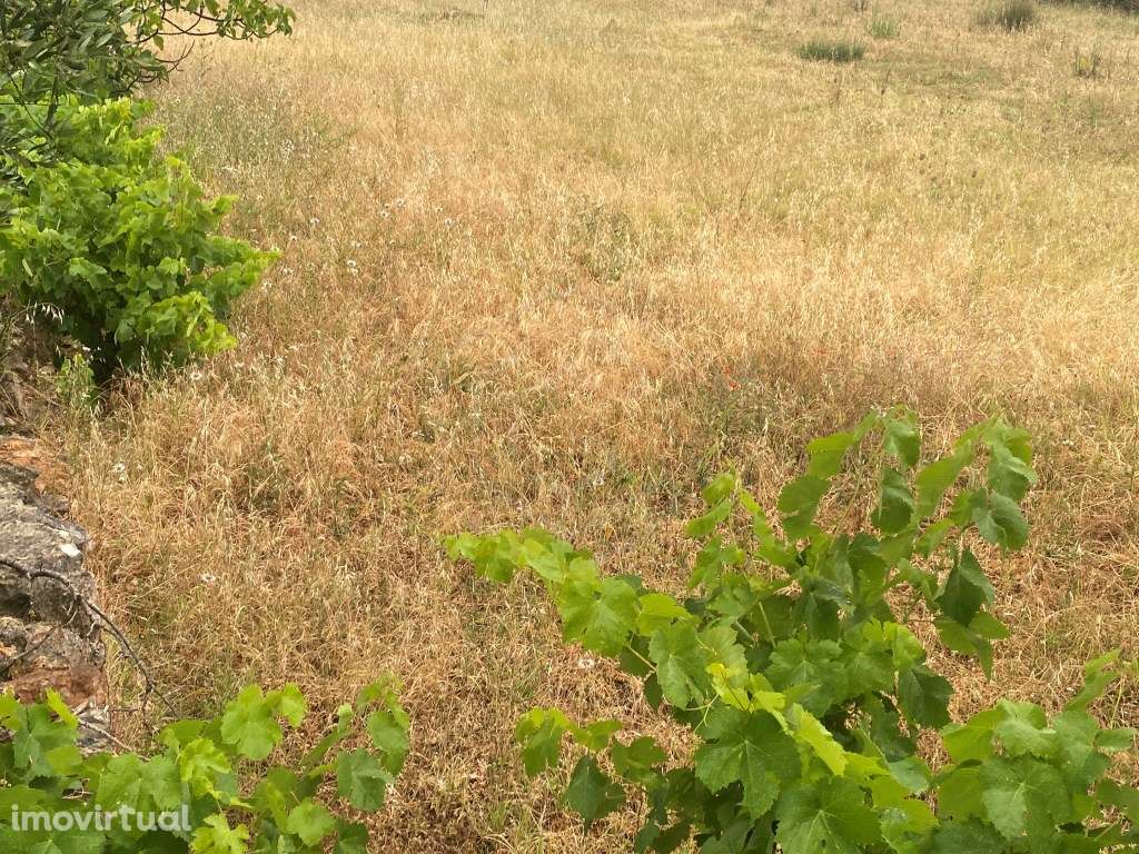 Lote de terreno rústico com a área total de 220m2, Salir, Algarve - Grande imagem: 3/15