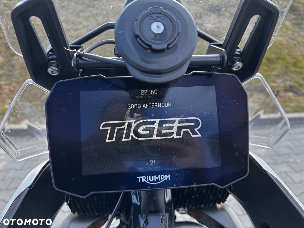 Triumph Tiger - 5