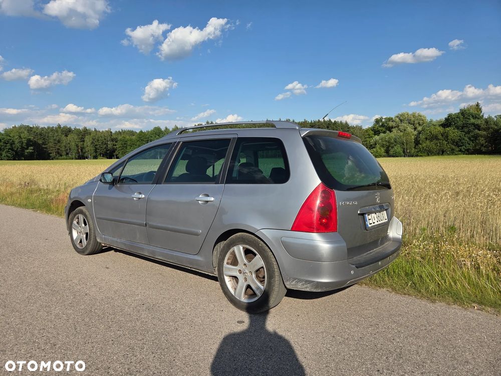 Peugeot 307 - 5