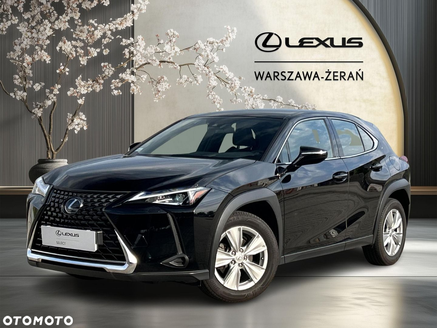 Lexus UX 200 GPF Pure 2WD - 2