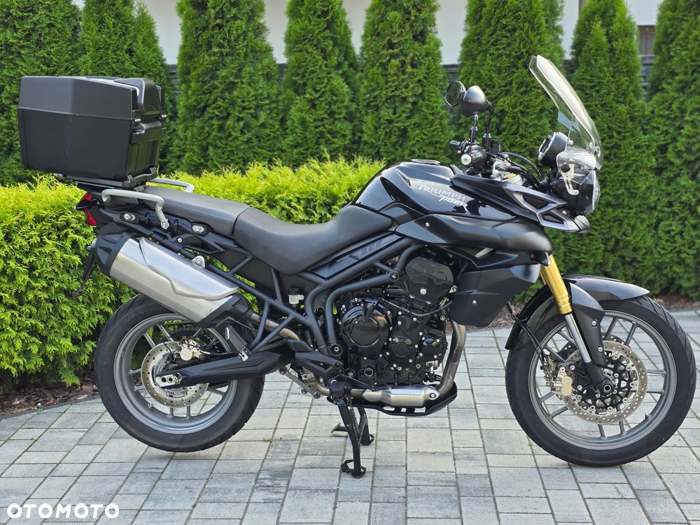 Triumph Tiger - 3