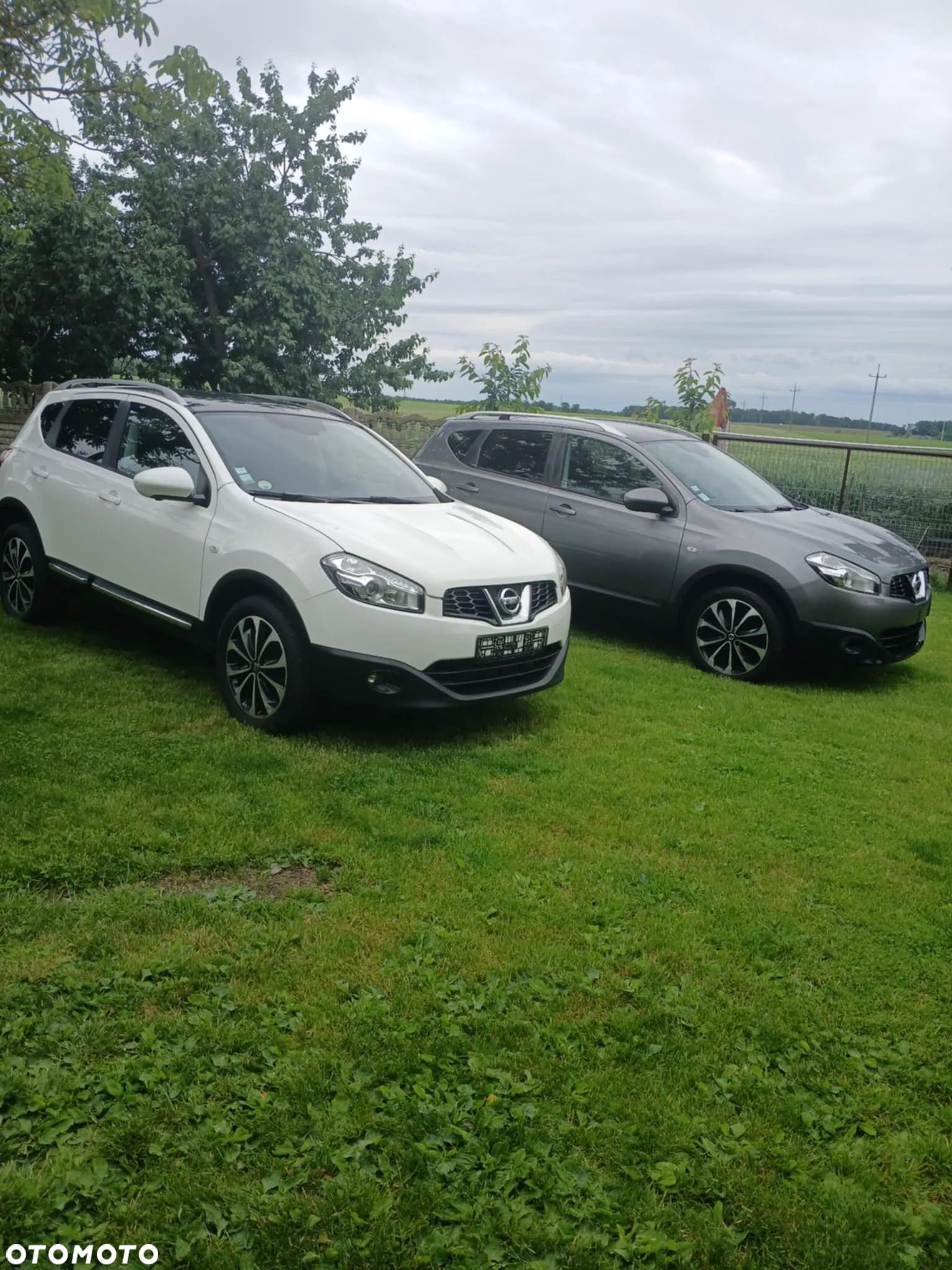Nissan Qashqai 1.5 dCi Visia - 1
