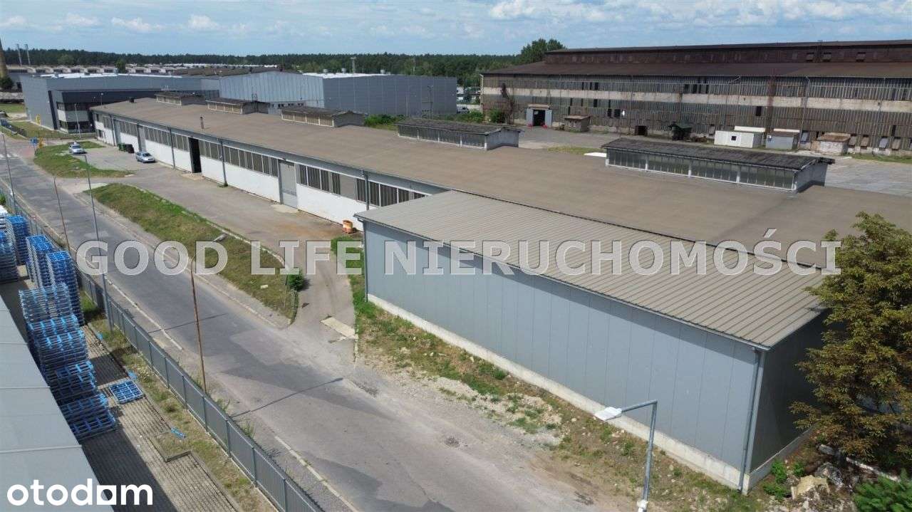 Hala produkcyjna, wynajem, Stalowa Wola, 3142m2 - Pełny obrazek: 2/20
