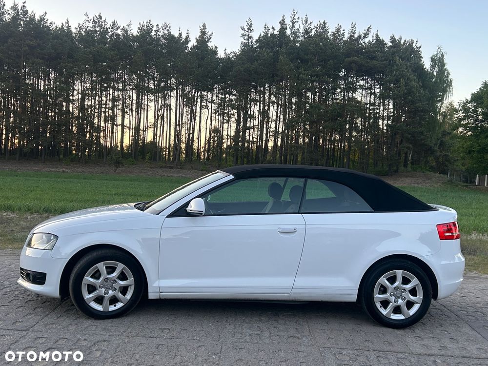 Audi A3 Cabrio 1.6 Ambition - 19