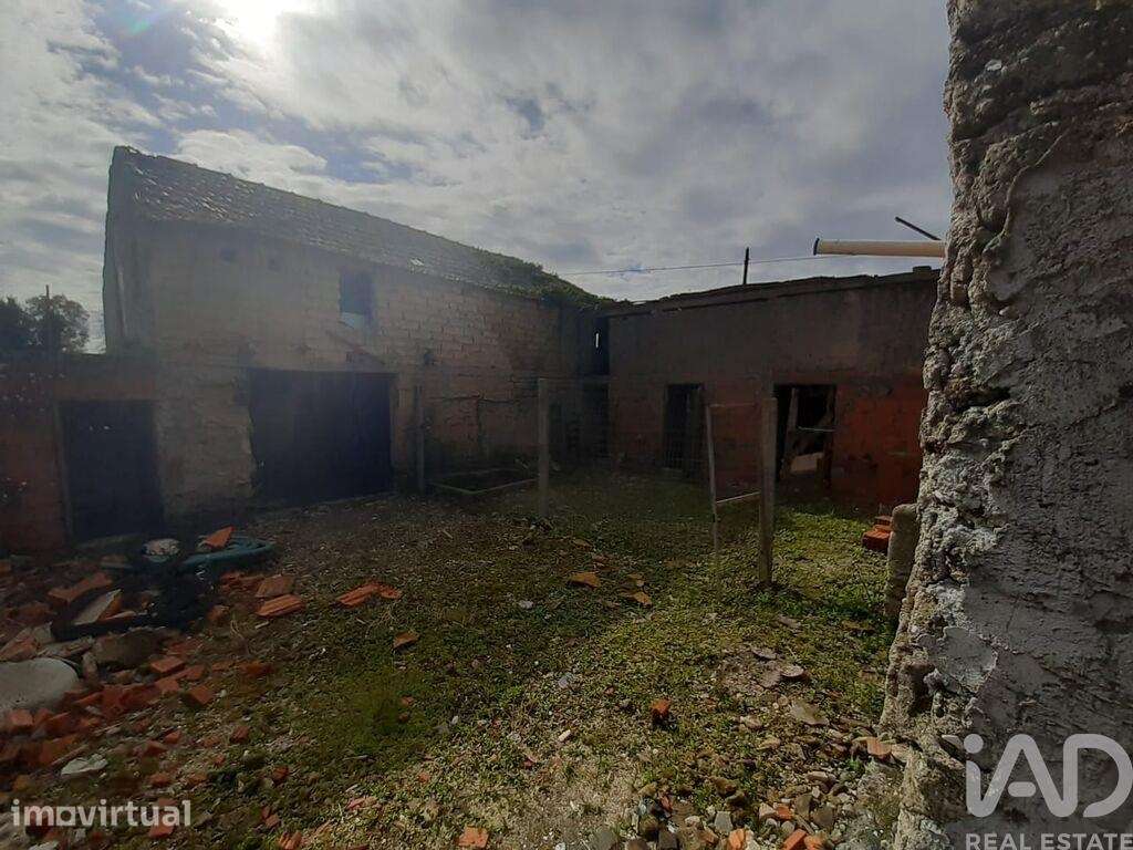 Moradia isolada T2 em Oliveirinha de 170 m2 - Grande imagem: 2/19