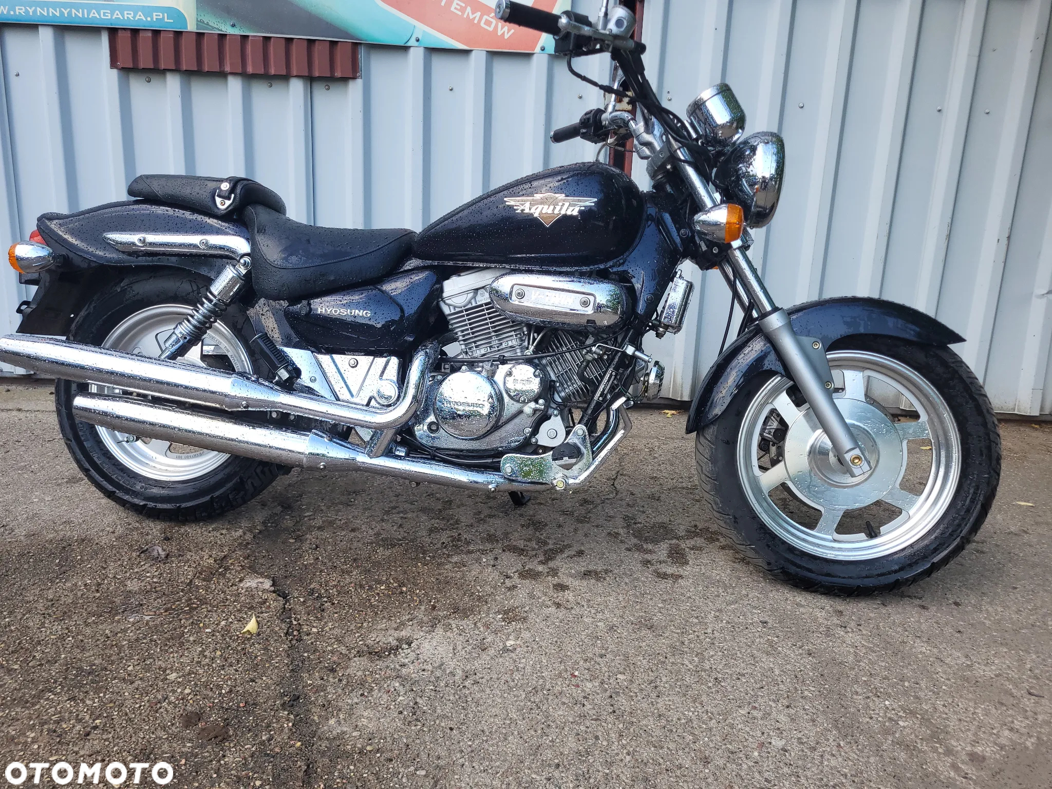 Honda Shadow - 3