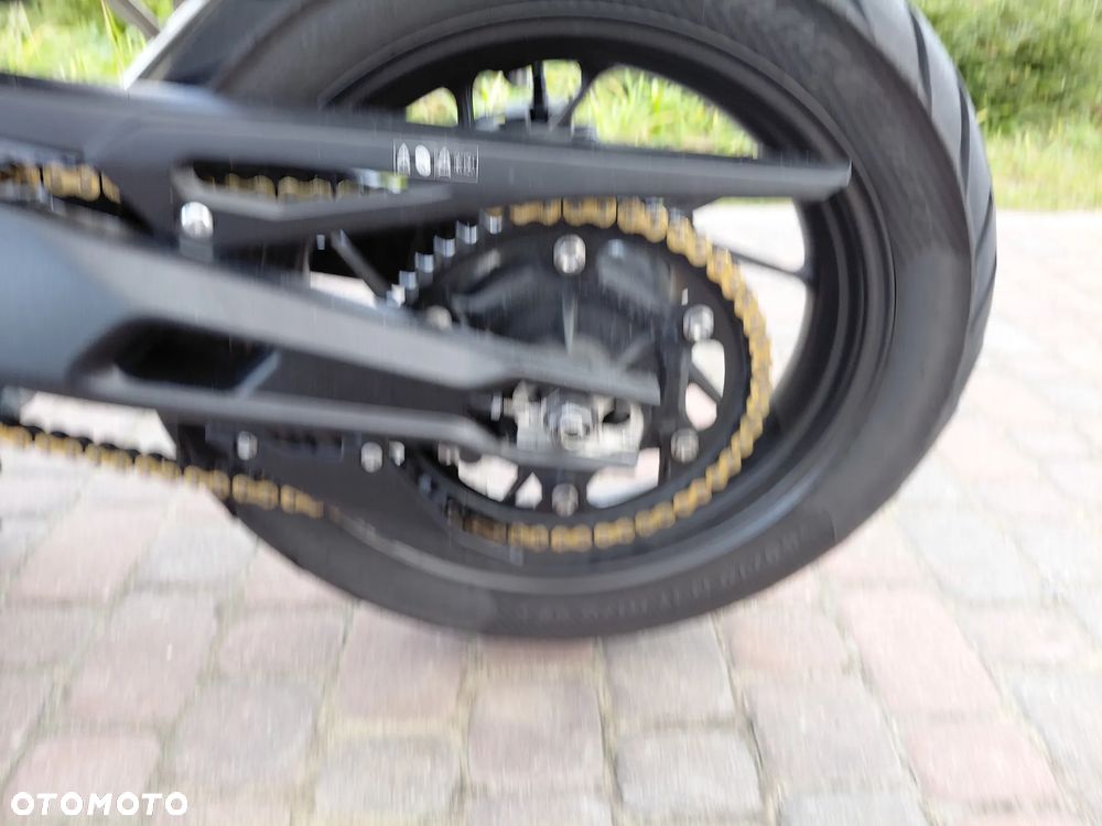 Triumph Tiger - 22