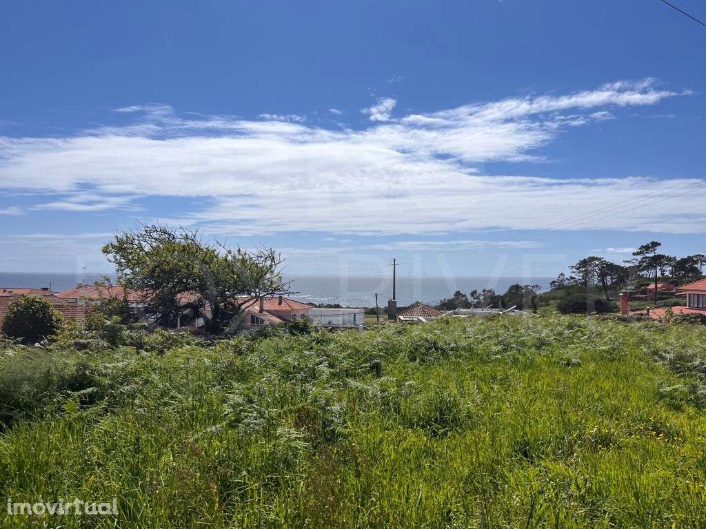 Terreno em Montedor, Carreço - Vista Mar Deslumbrante e Excelente P... - Grande imagem: 2/25