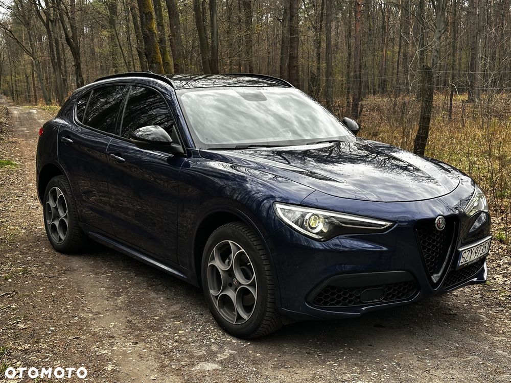 Alfa Romeo Stelvio 2.0 Turbo Super Q4 - 1