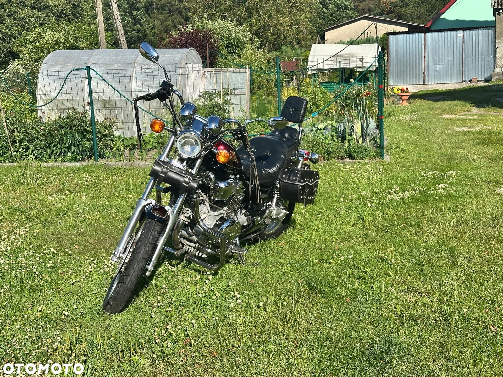 Yamaha Virago - 4