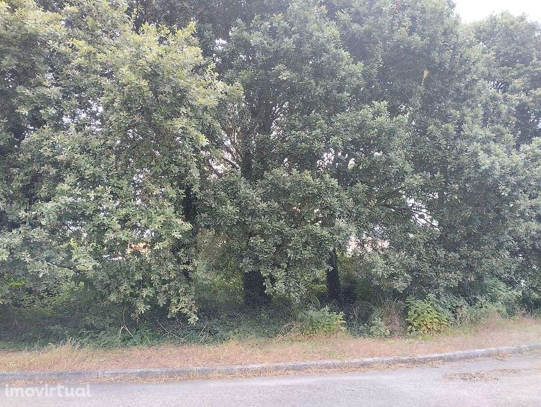 Terreno  para venda - Grande imagem: 3/4