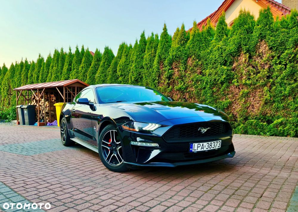 Ford Mustang - 1