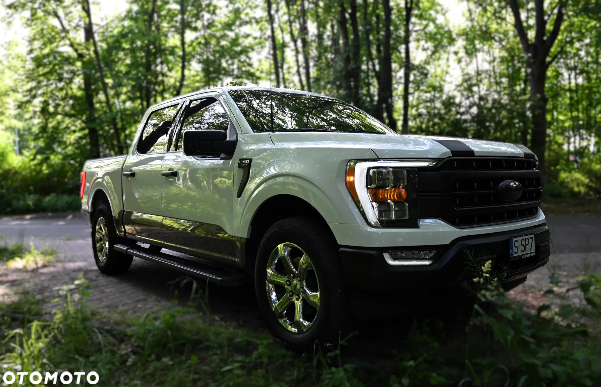 Ford F150 - 7
