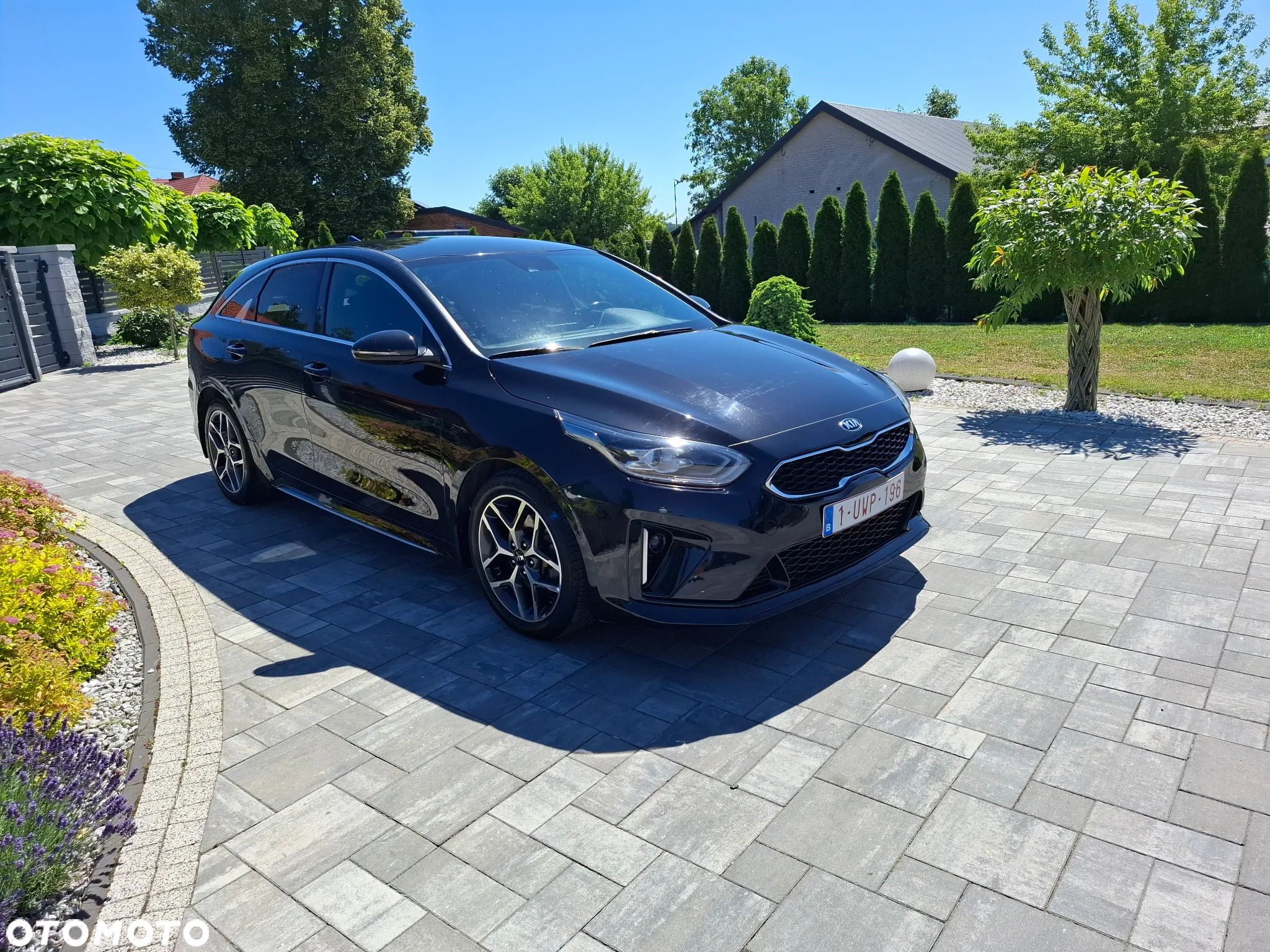 Kia ProCeed 1.5 T-GDI GT Line - 15