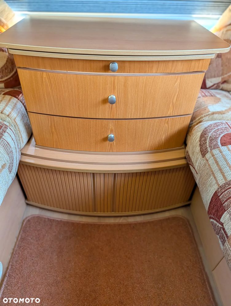 Avondale Golden Avocet - 28