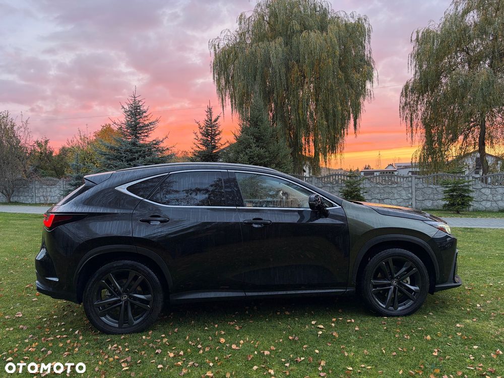 Lexus NX - 8