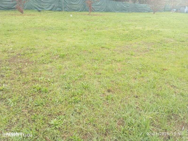 Terreno para cultivo aluguer - Grande imagem: 2/3