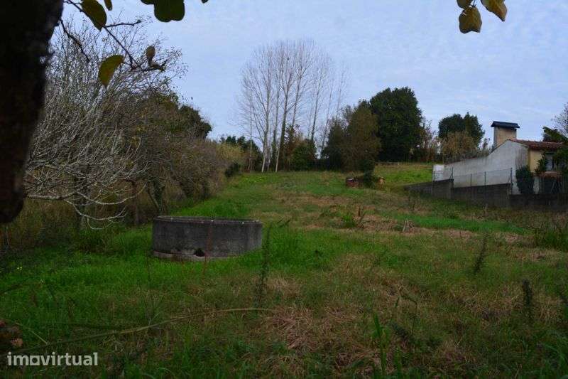 Terreno Urbano em Nariz Aveiro - Grande imagem: 3/6