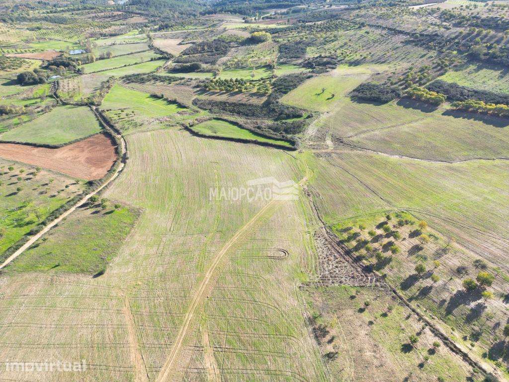 Propriedade Agrícola Parada - Bragança - Grande imagem: 4/9