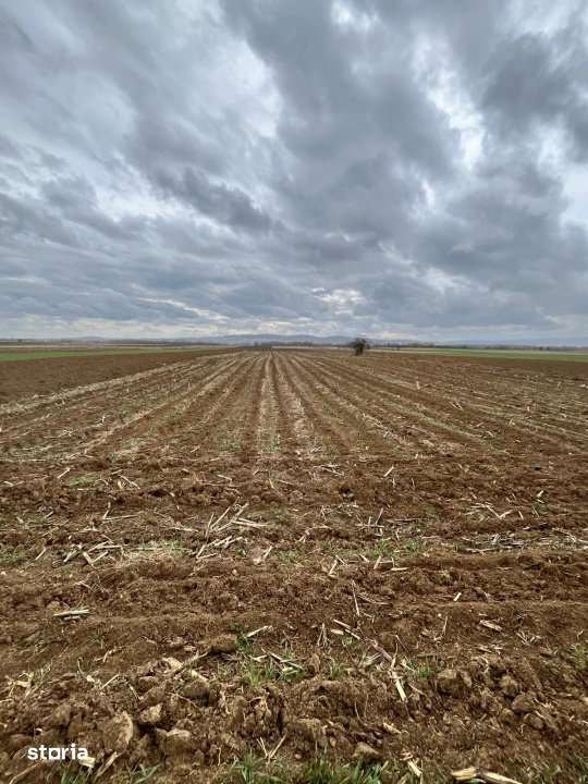 Teren extravilan 2500 mp,cu acces la Centura ,Radauti - Imagine principală: 4/7