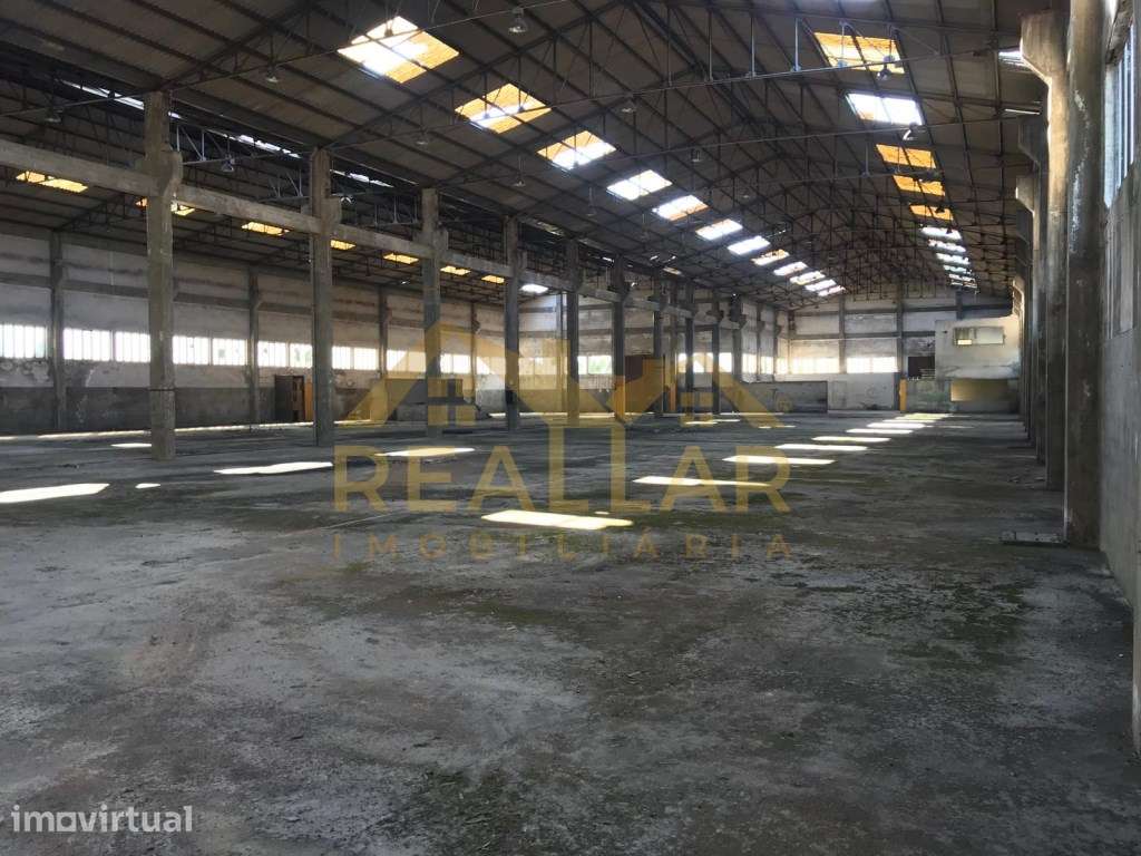 Armazém Industrial com Potencial de Expansão - Grande imagem: 3/16