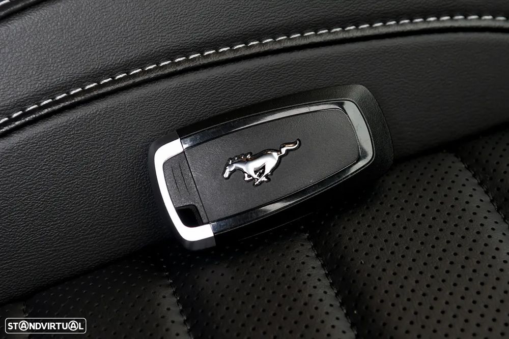 Ford Mustang 5.0 Ti-VCT Mach 1 - 14