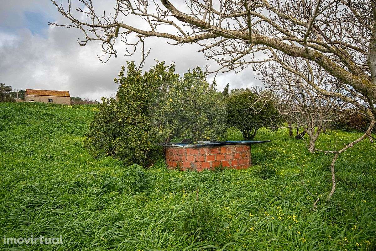 Moradia T0 para venda - Grande imagem: 5/9