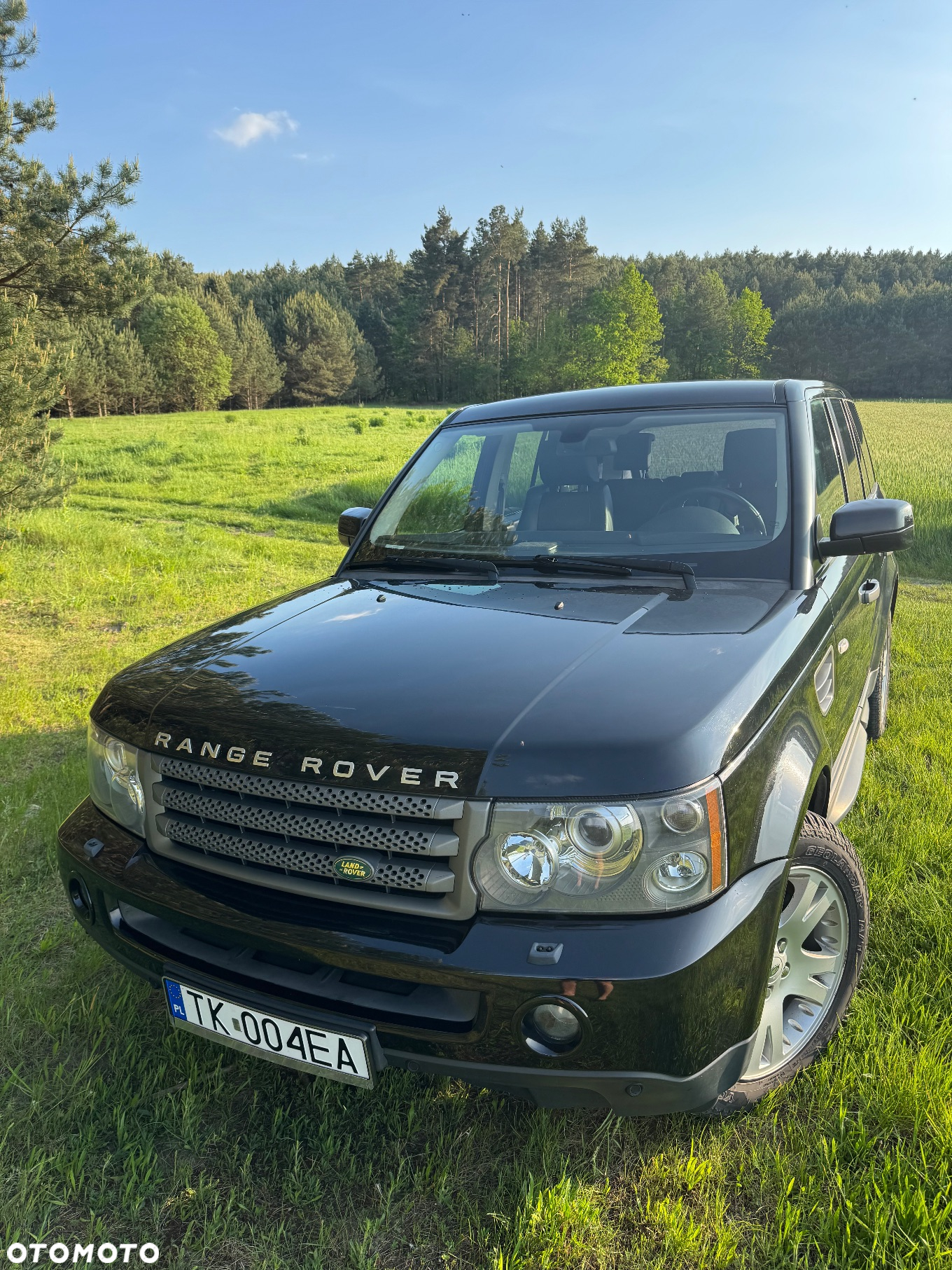 Land Rover Range Rover Sport S 2.7TD HSE - 6