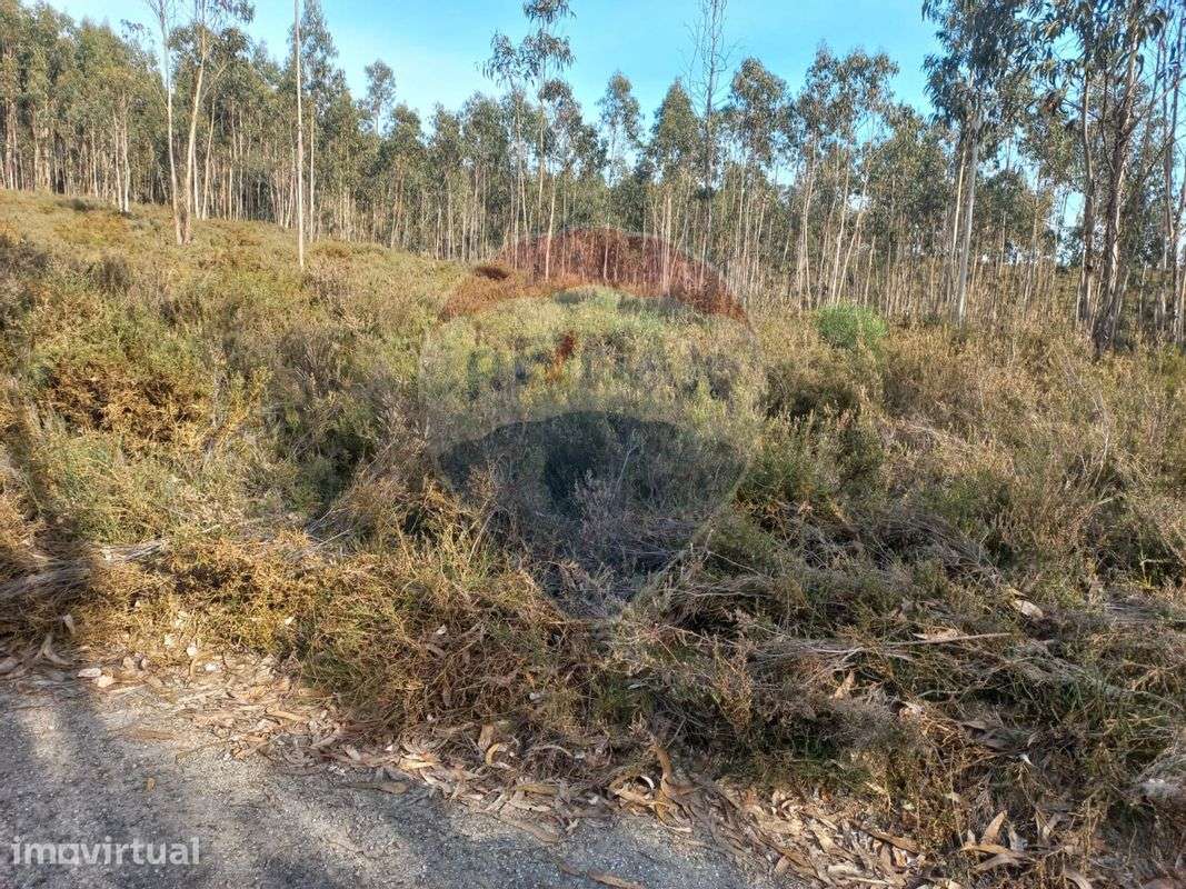 Terreno  para venda - Grande imagem: 4/5
