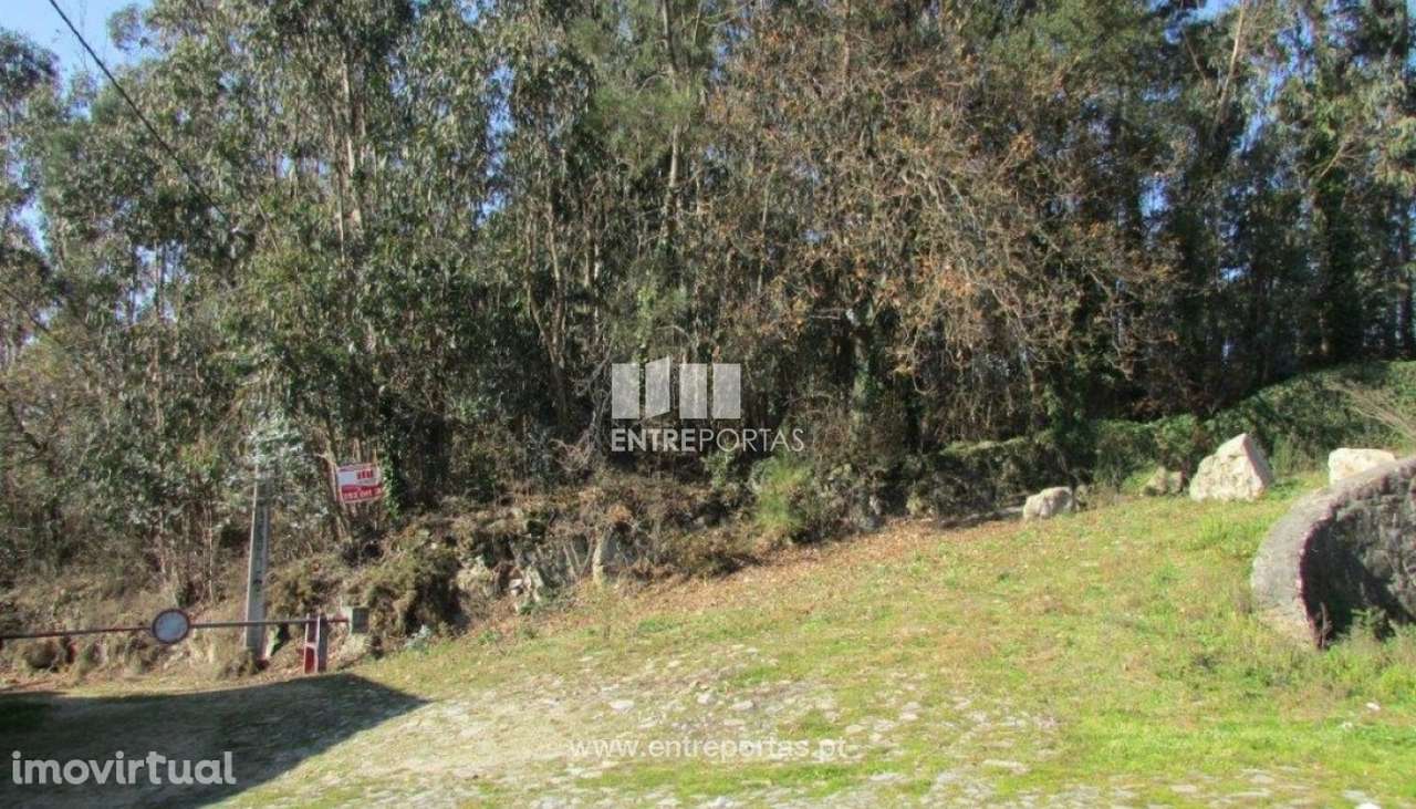 Venda de Terreno, Rio Mau, Vila do Conde - Grande imagem: 2/9