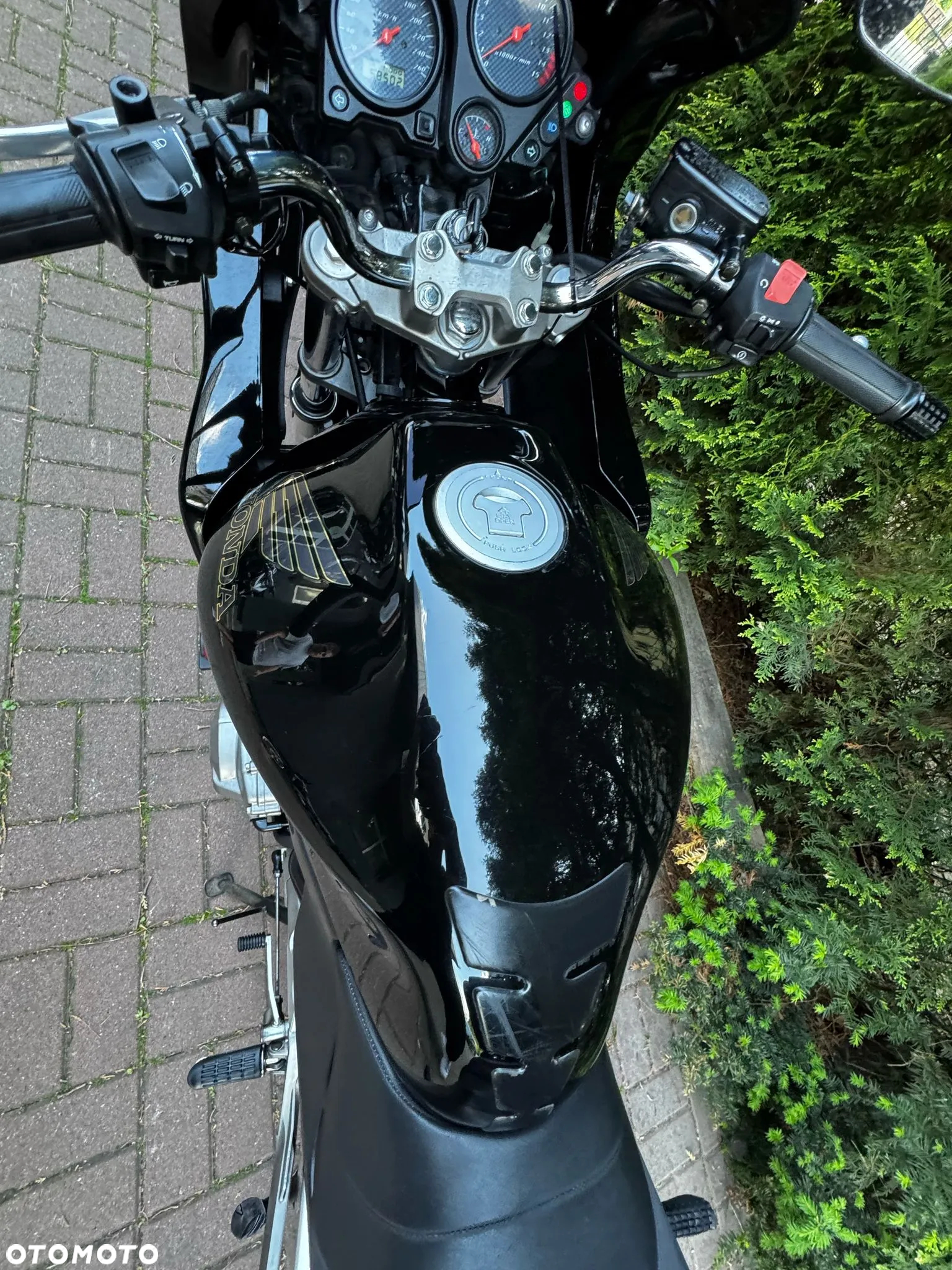 Honda Hornet - 14