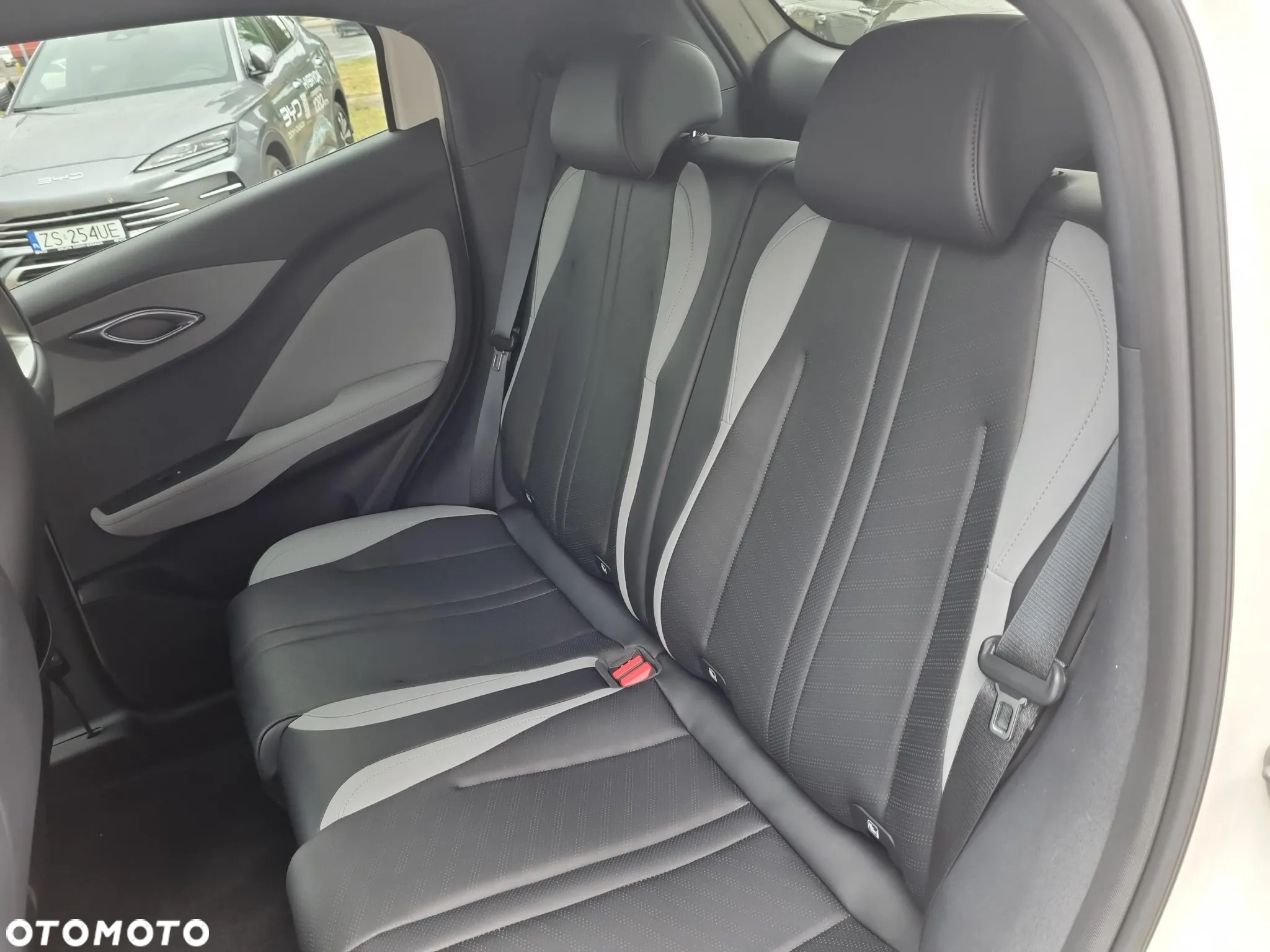 BYD Dolphin Surf - 16
