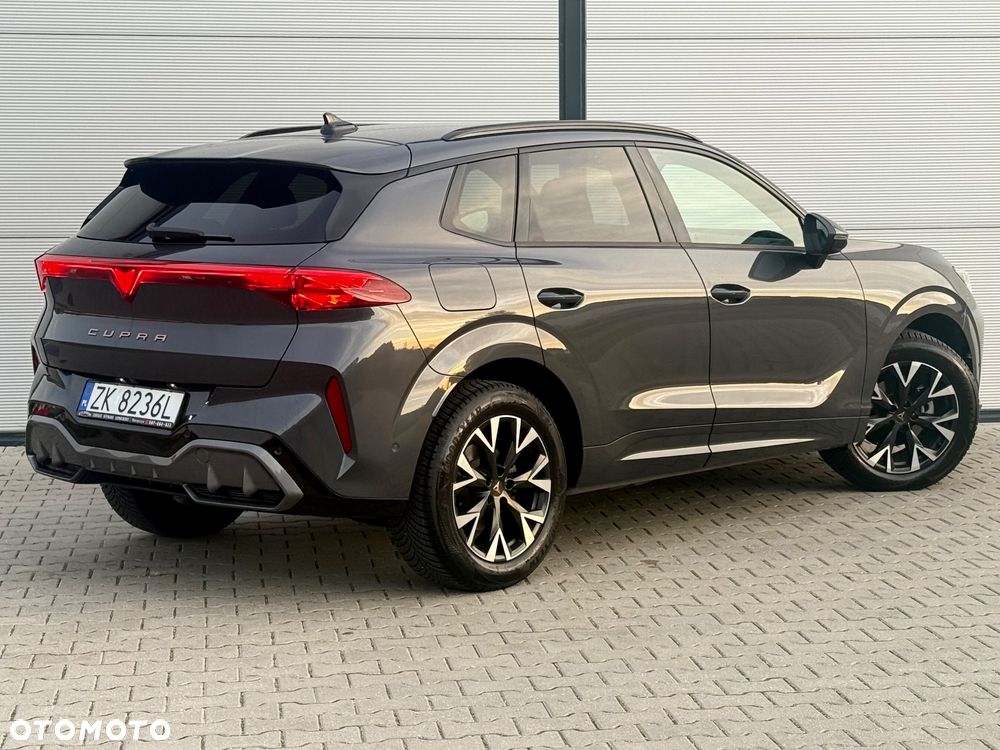 Cupra Terramar 1.5 eTSI DSG Tribe Edition - 16